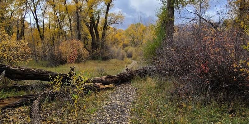 Camper submitted image from Diamond Fork