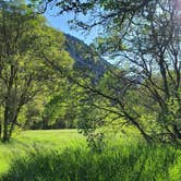 Review photo of Green Canyon Dispersed Campground by Connor O., August 21, 2022