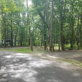 Review photo of Chenango Valley State Park Campground by Cheryl W., July 24, 2018