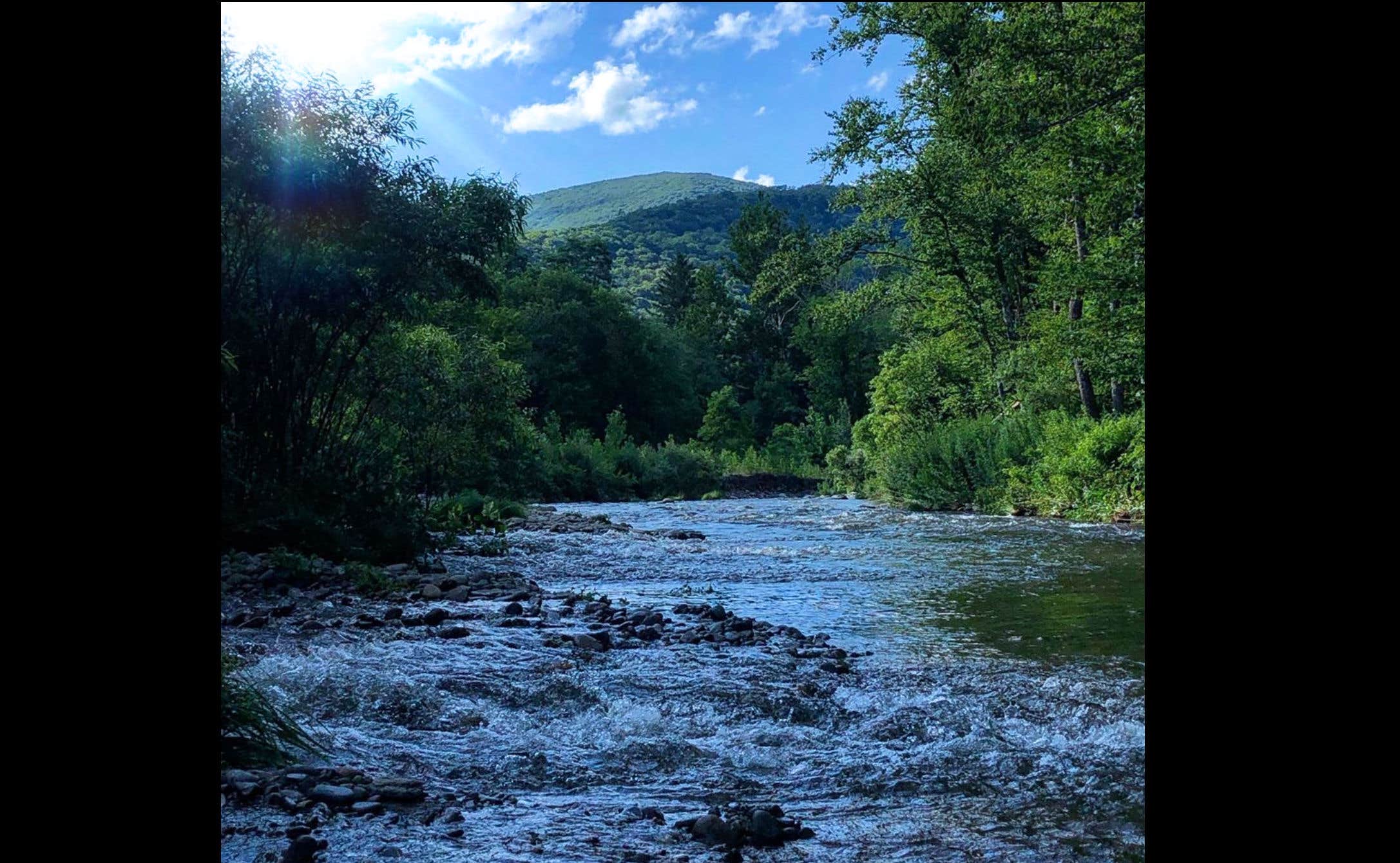 Camper-submitted photo at Upper Esopus Creekside Camp near Gilboa, NY