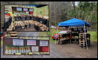 Pierre L.'s photo of tent camping at Upper Esopus Creekside Camp near Spring Glen, NY