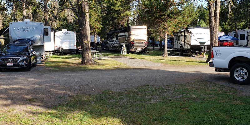 Camper submitted image from Chalet RV Park