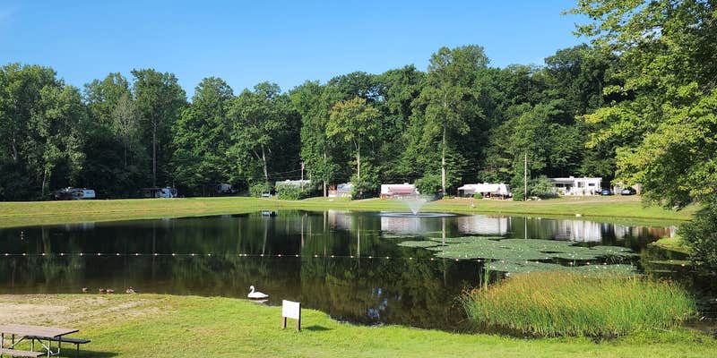 Camper submitted image from Nelsons Family Campground