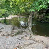 Review photo of Redbud Campground at Bell Smith Springs by Dusti M., August 20, 2022