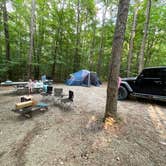 Review photo of Redbud Campground at Bell Smith Springs by Dusti M., August 20, 2022