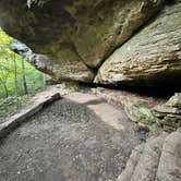 Review photo of Redbud Campground at Bell Smith Springs by Dusti M., August 20, 2022