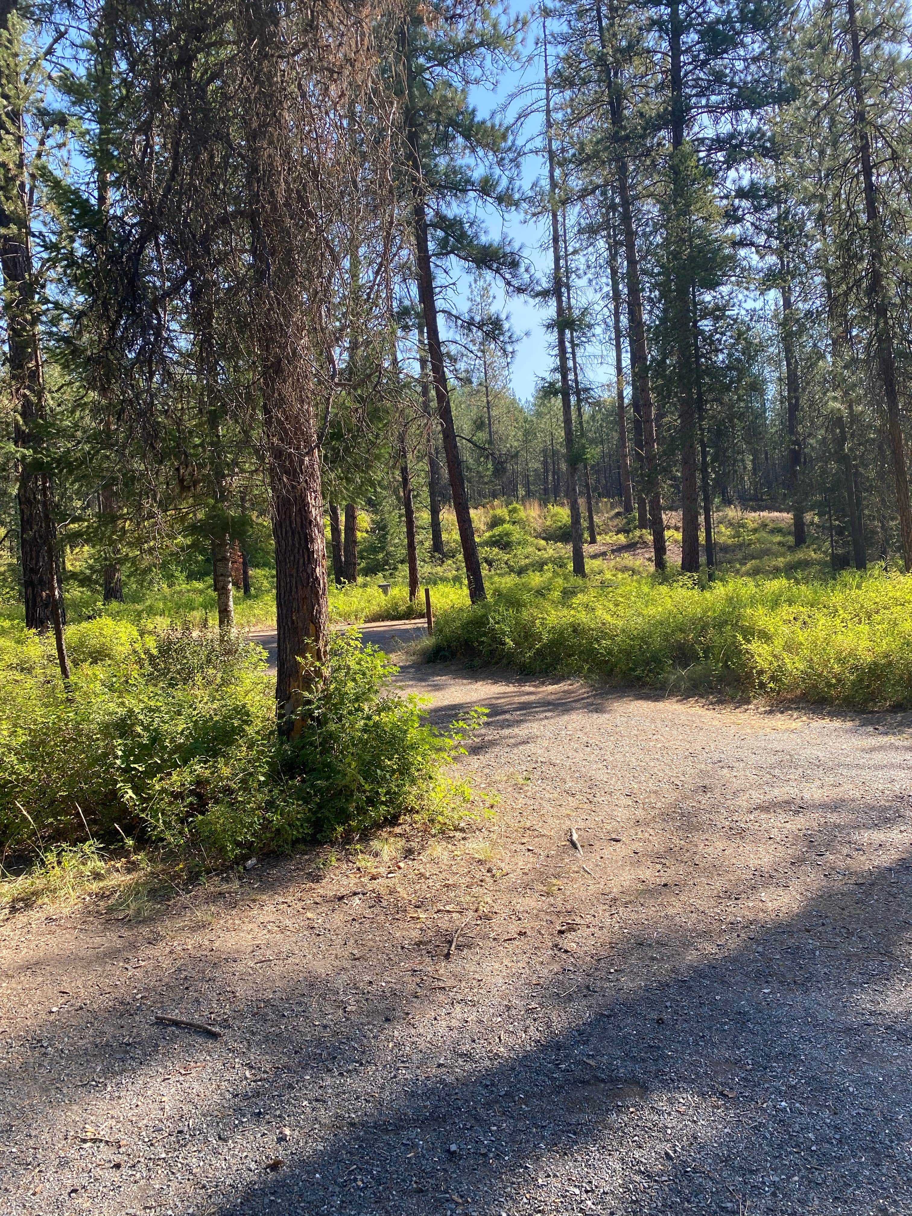 Camper-submitted photo at Starvation Lake Campground near Colville, WA