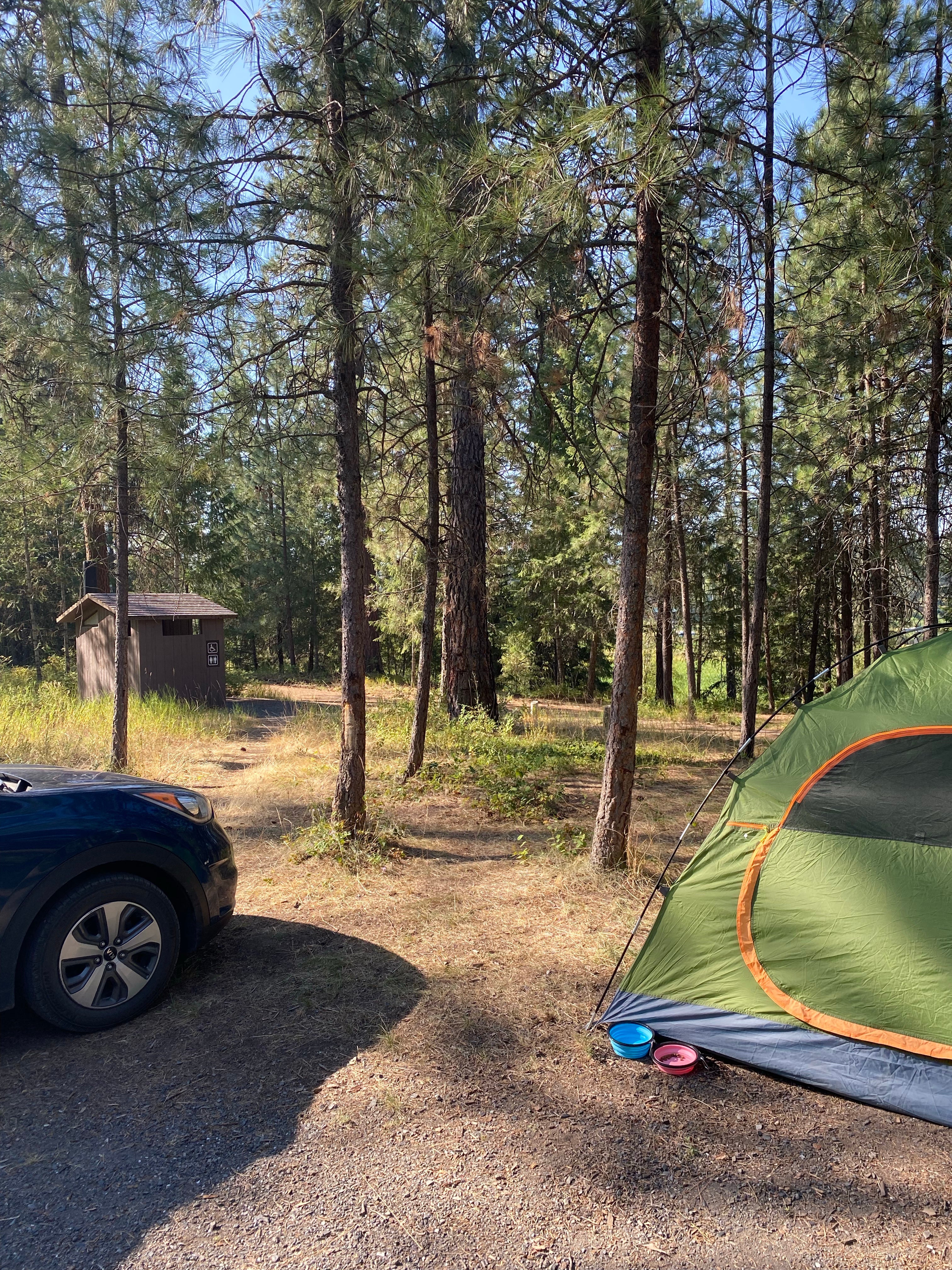 Camper submitted image from Starvation Lake Campground - 1