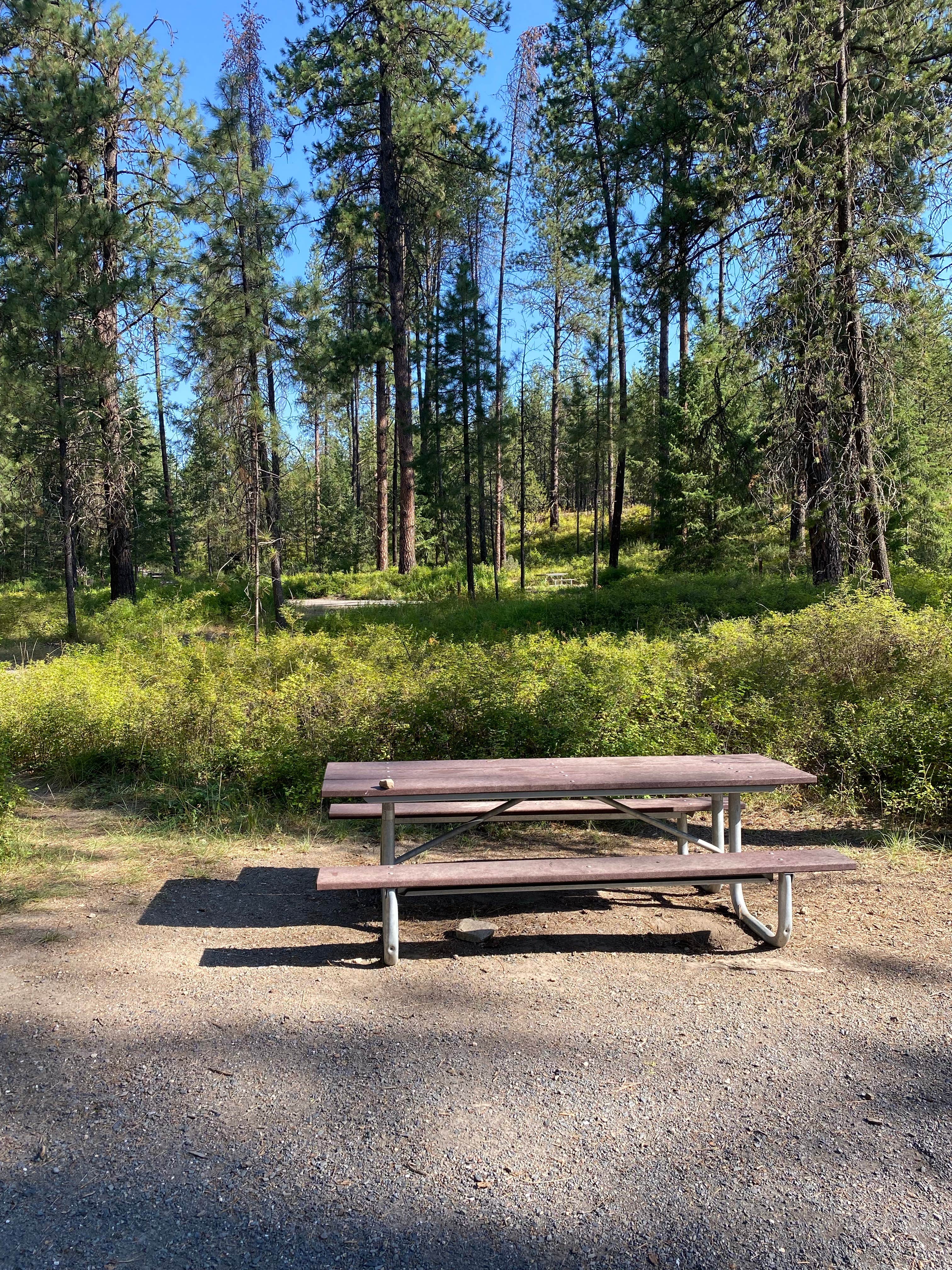 Camper submitted image from Starvation Lake Campground - 4