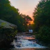 Review photo of Swallow Falls State Park Campground by wildonbass , August 21, 2022