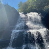 Review photo of Swallow Falls State Park Campground by wildonbass , August 21, 2022