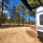 Review photo of Tom Best Spring Road FR117 Dispersed - Dixie National Forest by Robert , August 21, 2022