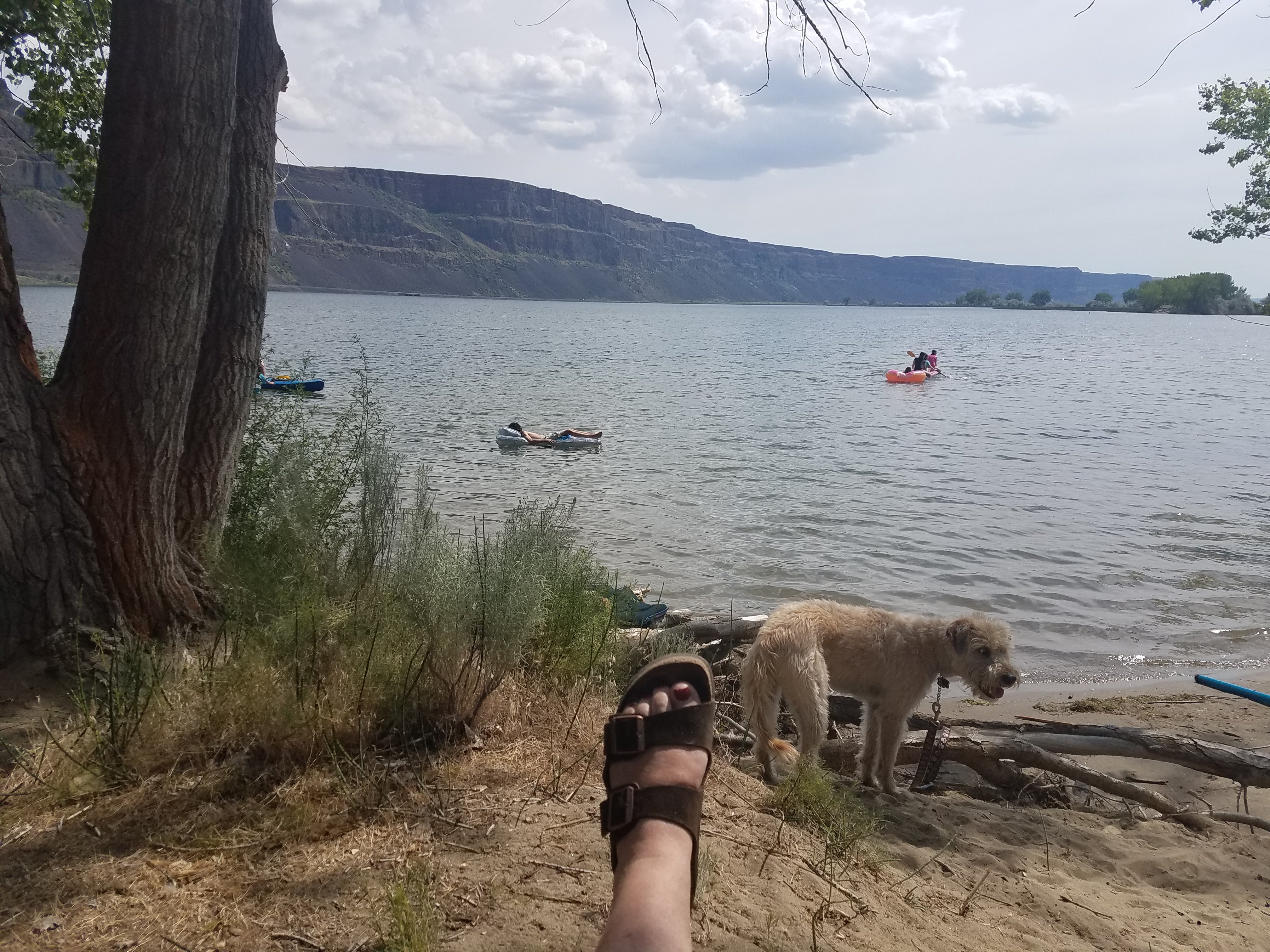 Camper submitted image from Dune Loop Campground — Steamboat Rock State Park - 1