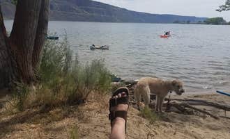 Camping near Spring Canyon Campground — Lake Roosevelt National Recreation Area: Dune Loop Campground — Steamboat Rock State Park, Electric City, Washington