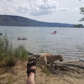 Review photo of Main - Steamboat Rock State Park by Erica B., July 24, 2018