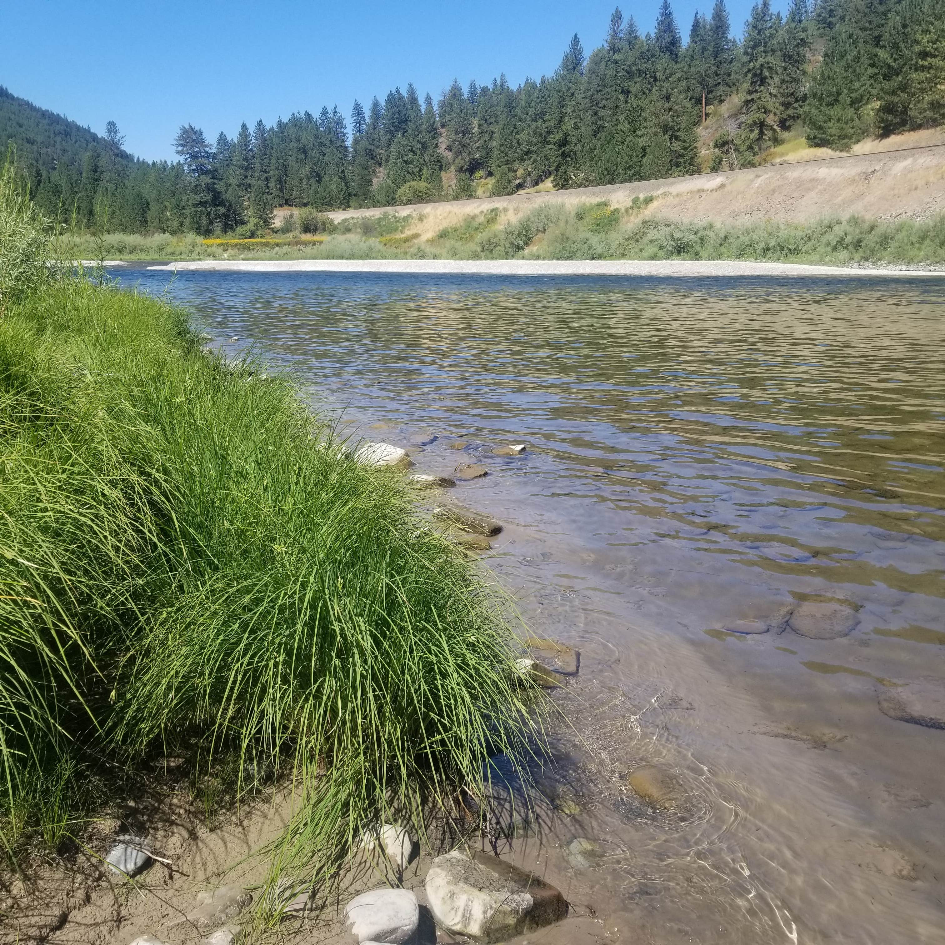Camper-submitted photo at National Forest Recreation Area - Peninsula near Plains, MT