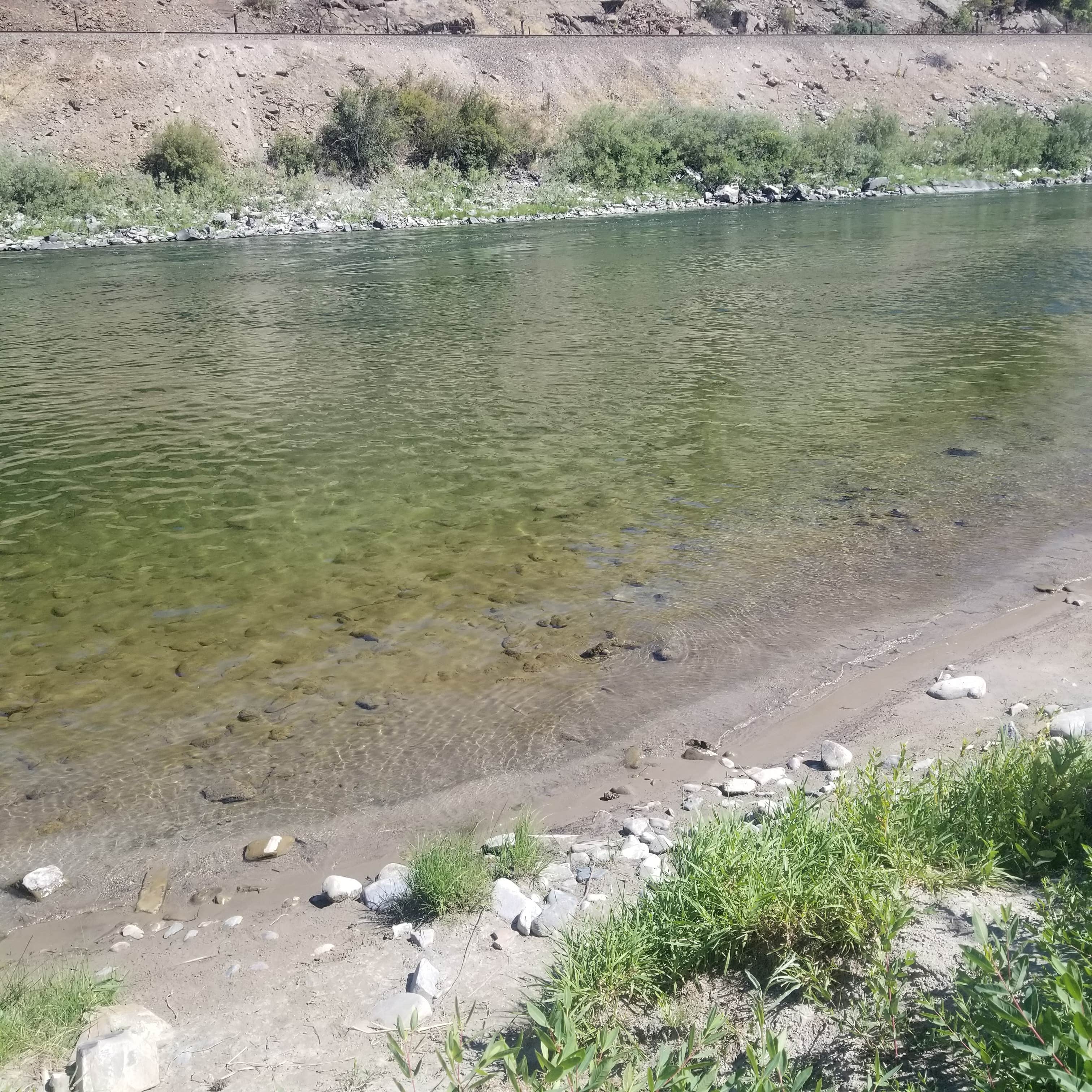 Camper-submitted photo at National Forest Recreation Area - Peninsula near Plains, MT