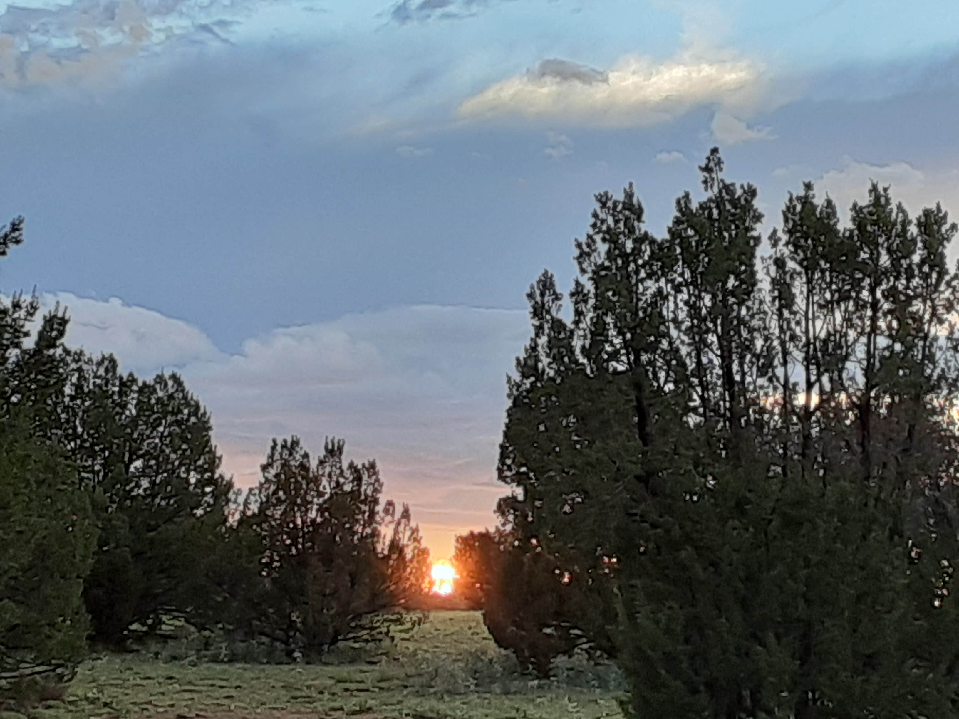 Camping near B-Rad Ranch: The Ranchlands ~ Lookout View Trail, Seligman, Arizona