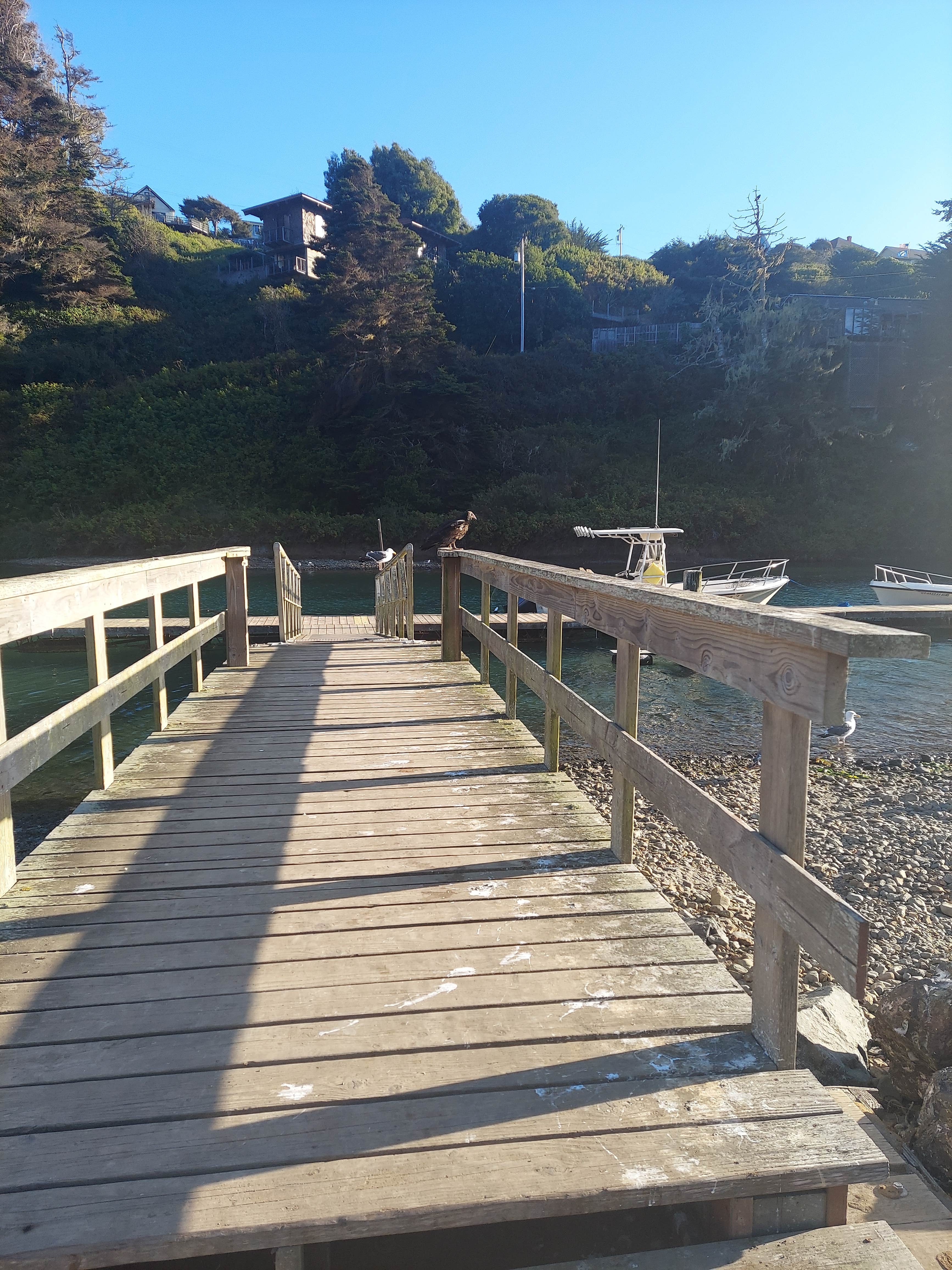 Camper submitted image from Albion River Campground - 3