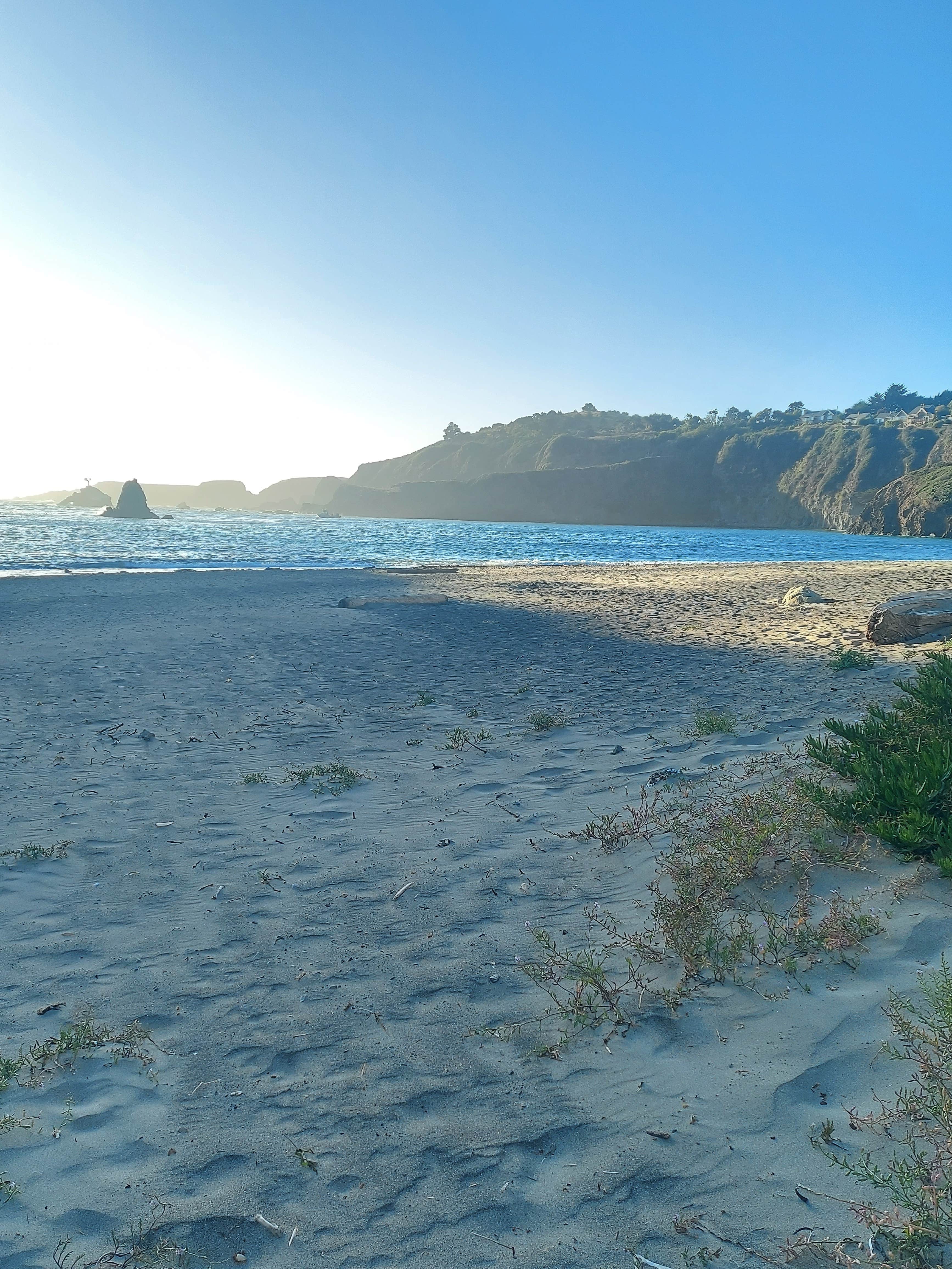 Camper-submitted photo at Albion River Campground near Mendocino, CA