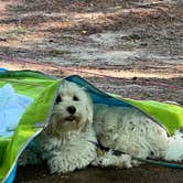 Review photo of Ashuelot River Campground by Ofer L., August 22, 2022