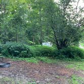 Review photo of Skillet Creek Campground by Alexis R., August 22, 2022