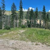 Review photo of Pass Creek Road Dispersed Camping by Izzy T., August 22, 2022