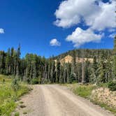 Review photo of Pass Creek Road Dispersed Camping by Izzy T., August 22, 2022