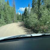 Review photo of Pass Creek Road Dispersed Camping by Izzy T., August 22, 2022