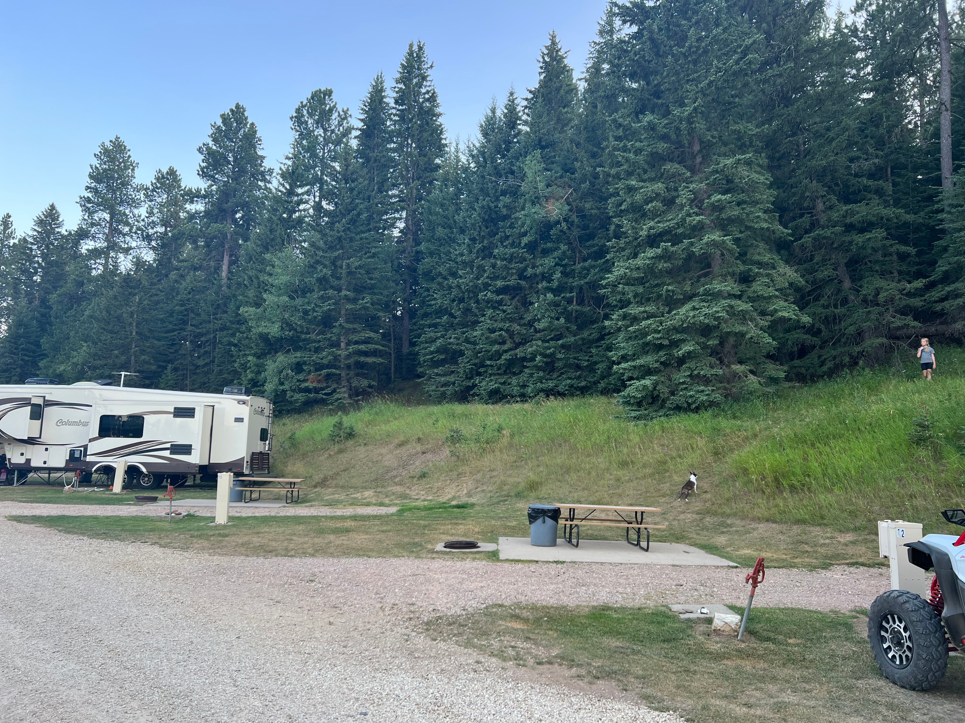 Camper submitted image from Steel Wheel Campground - 1