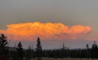 Leo S.'s photo of a dispersed camping area at Stanley Lake FS 638 Road Dispersed near Crouch, ID
