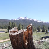 Review photo of Tuolumne Meadows Campground — Yosemite National Park by Annie C., July 24, 2018
