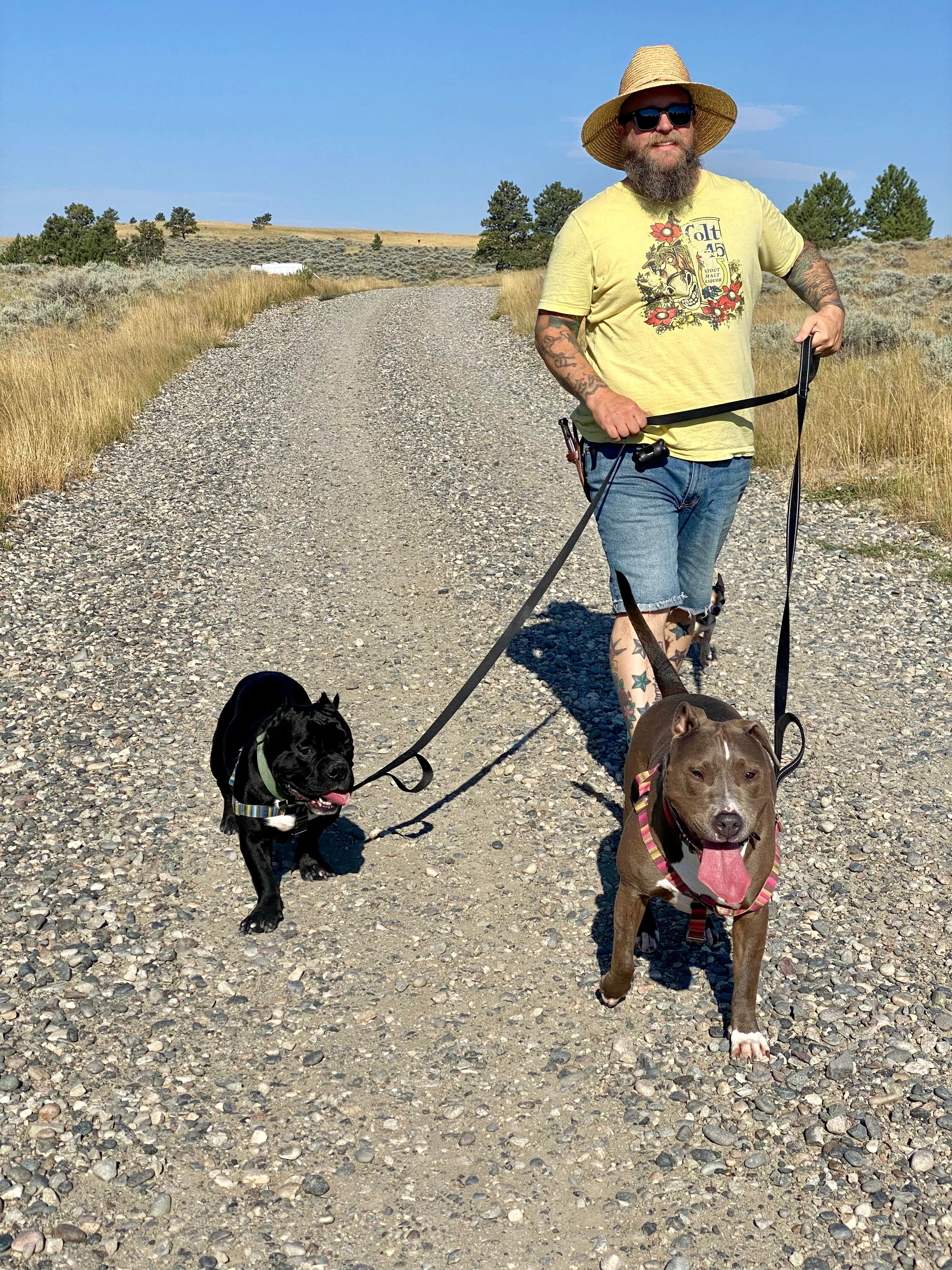PJ F.'s photo of camping with pets at Acton Recreation Area near Billings, MT