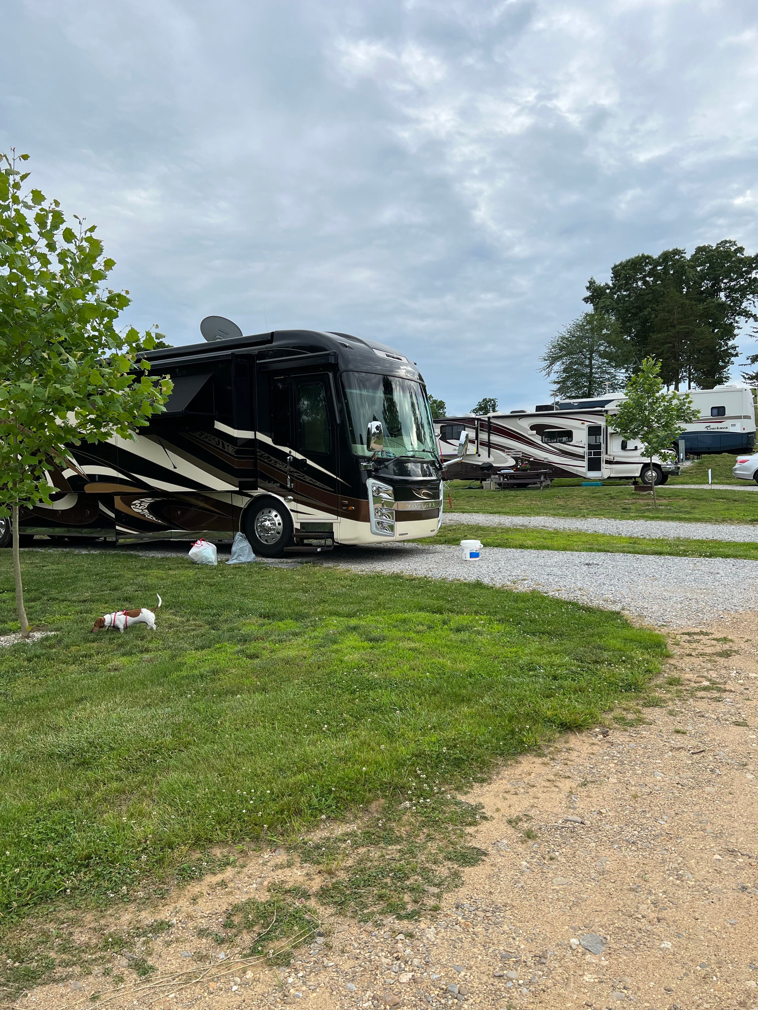 Camper submitted image from GrandView CampResort & Cottages - 1