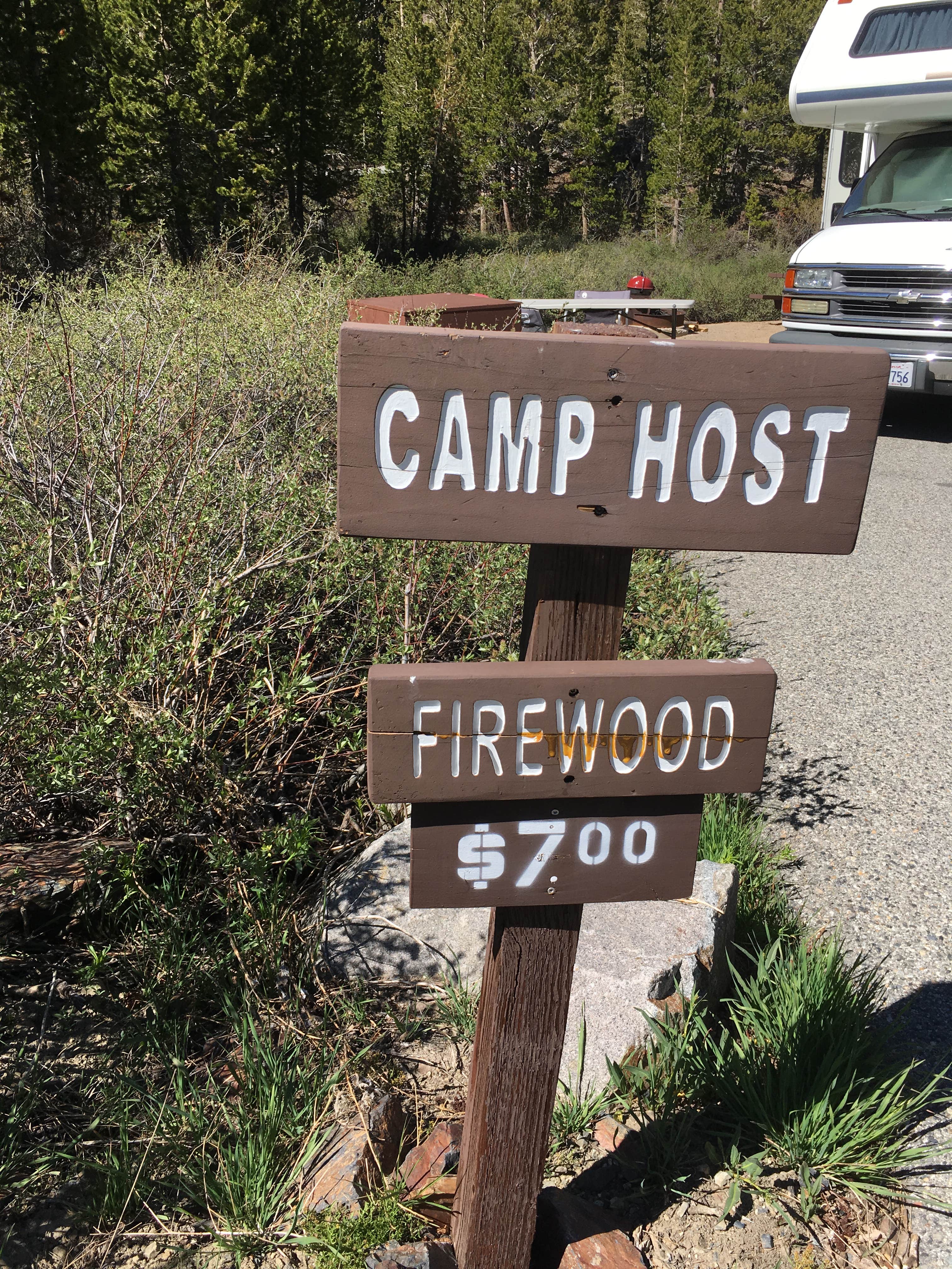 Annie C.'s photo of rv camping at Ellery Campground near Lee Vining, CA