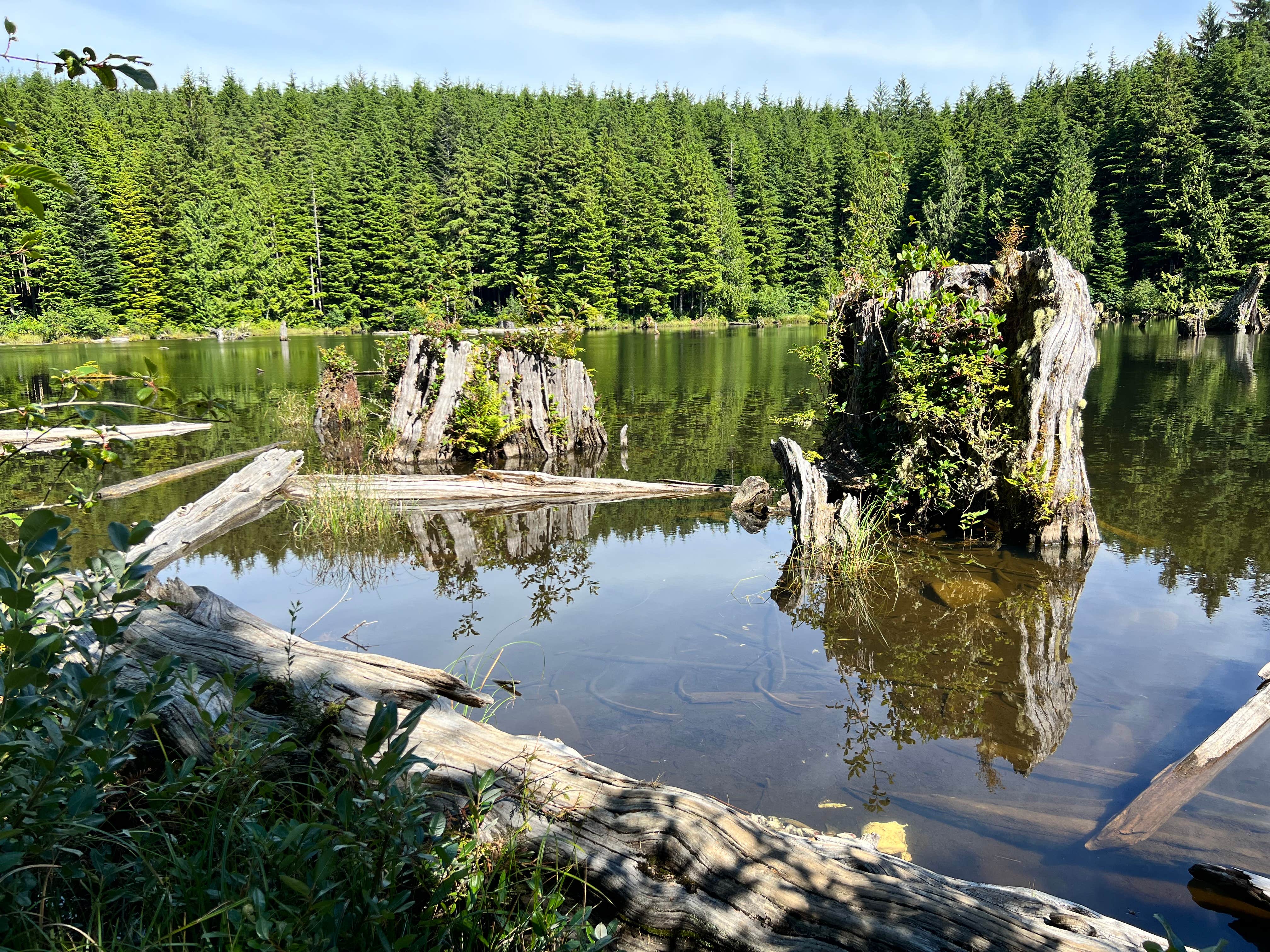 Camper-submitted photo at Snag Lake Campground near Grays River, WA