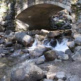 Review photo of Crane Flat Campground — Yosemite National Park by Annie C., July 24, 2018