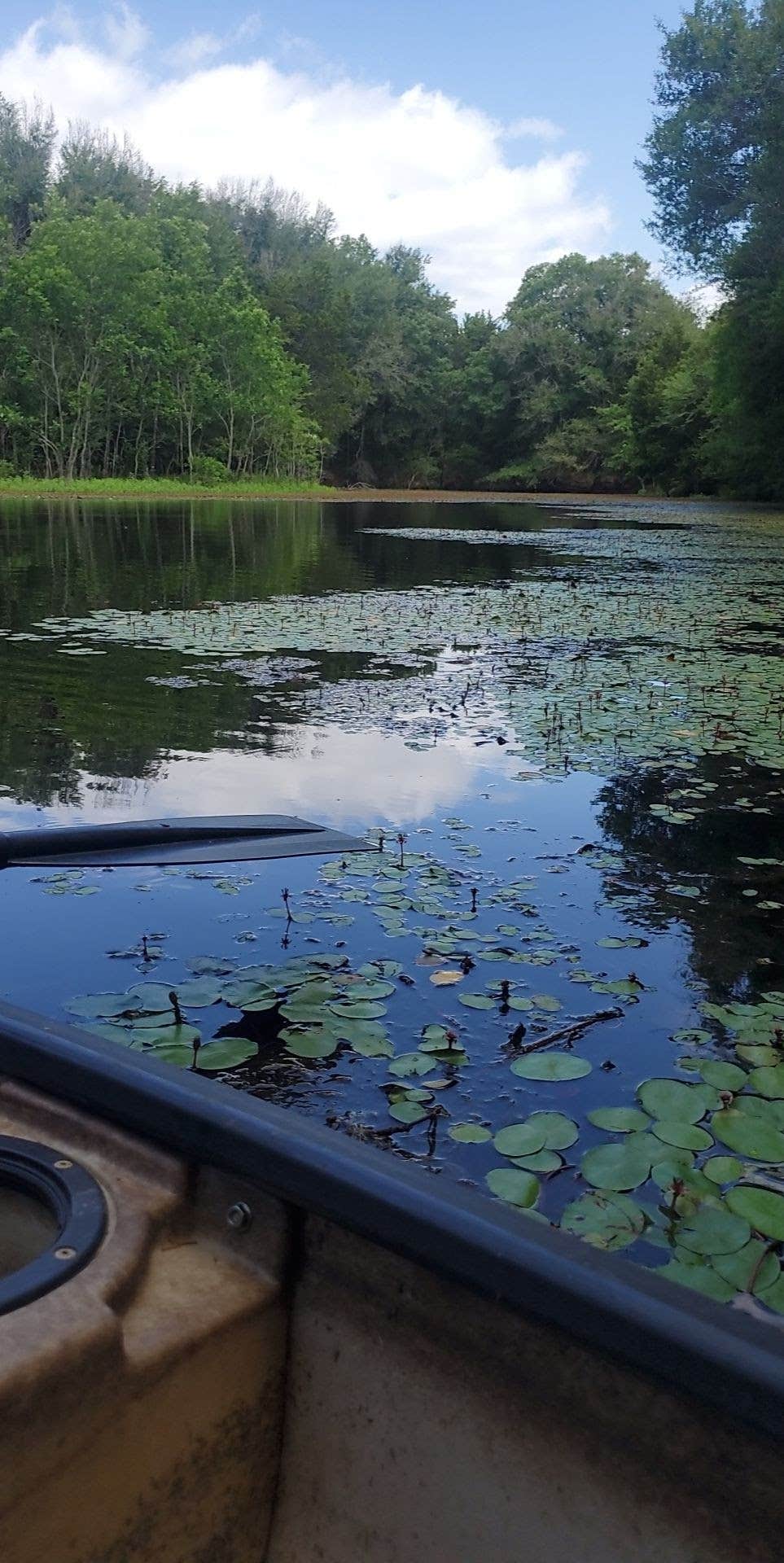 Camper-submitted photo at Lawley Land near Waco, TX