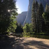 Review photo of Crane Flat Campground — Yosemite National Park by Annie C., July 24, 2018