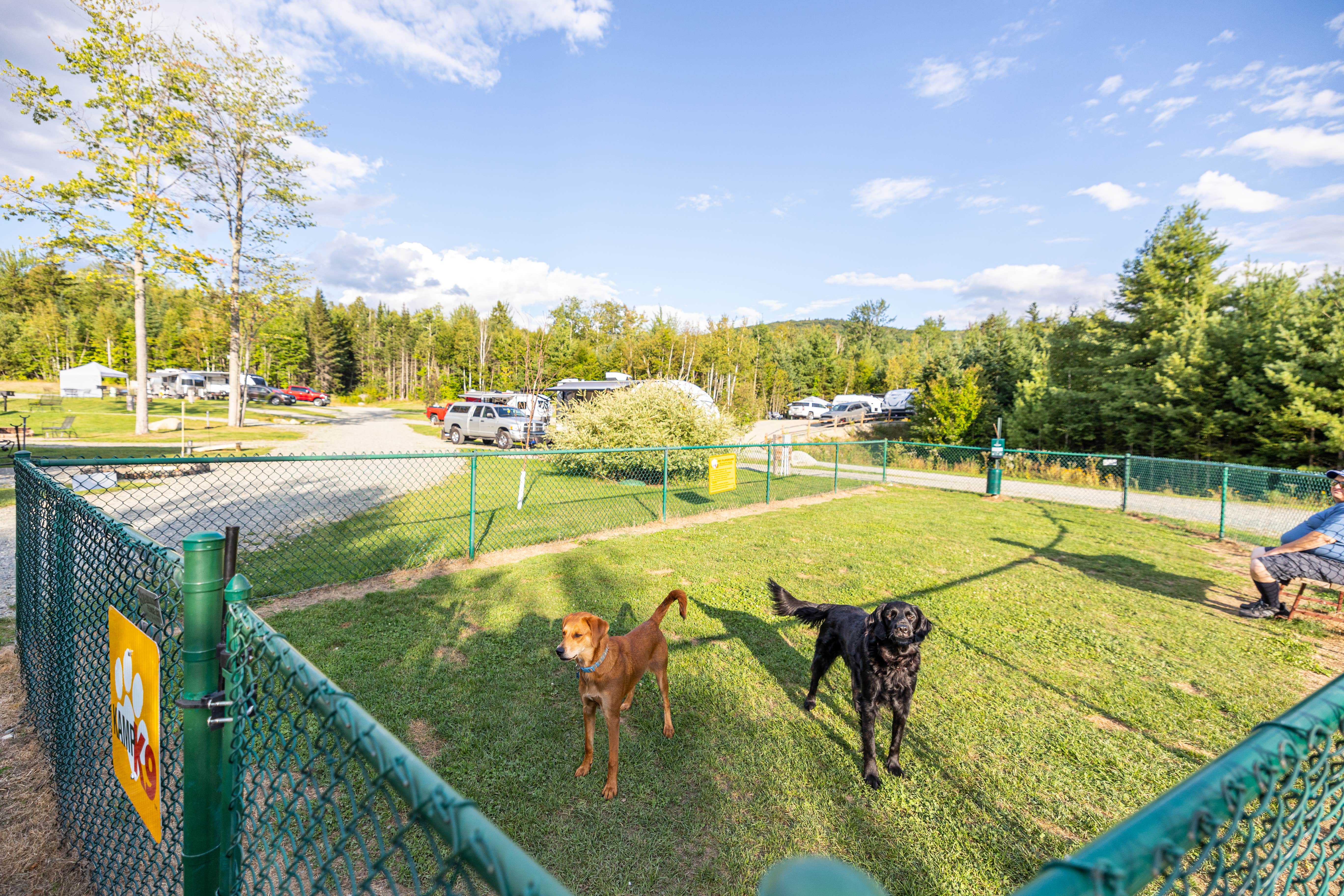 Horizon M.'s photo of camping with pets at Twin Mountain-Mt. Washington KOA near Whitefield, NH