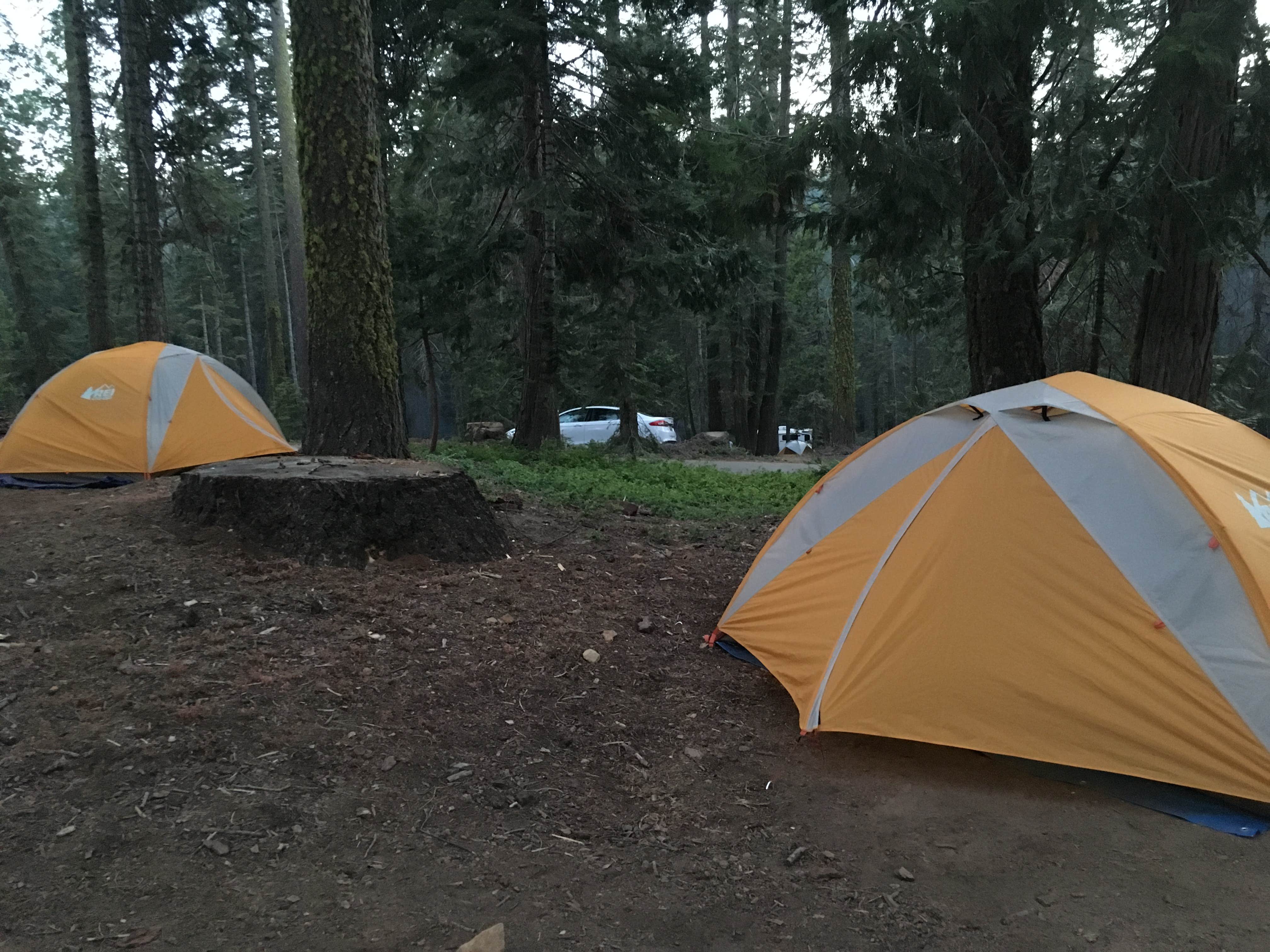 Annie C.'s photo at Crane Flat Campground — Yosemite National Park near Mather, CA