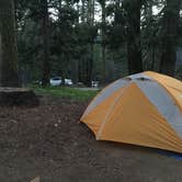 Review photo of Crane Flat Campground — Yosemite National Park by Annie C., July 24, 2018