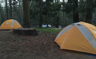 Annie C.'s photo at Crane Flat Campground — Yosemite National Park near Mather, CA