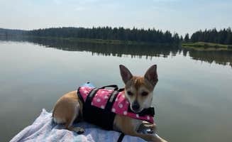 Marian J.'s photo of camping with pets at Deyo Reservoir near Nez Perce-Clearwater National Forests