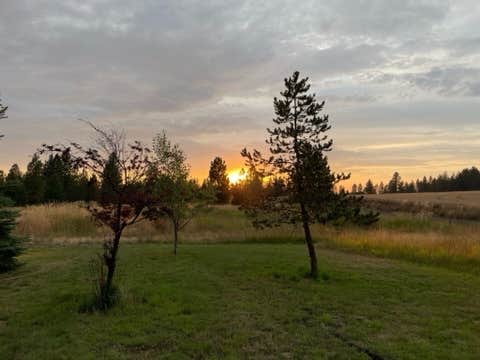 Camper-submitted photo at Deyo Reservoir near Weippe, ID