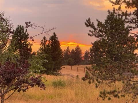 Camping near River Junction RV Park: Deyo Reservoir, Weippe, Idaho