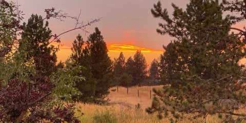 Camper submitted image from Deyo Reservoir