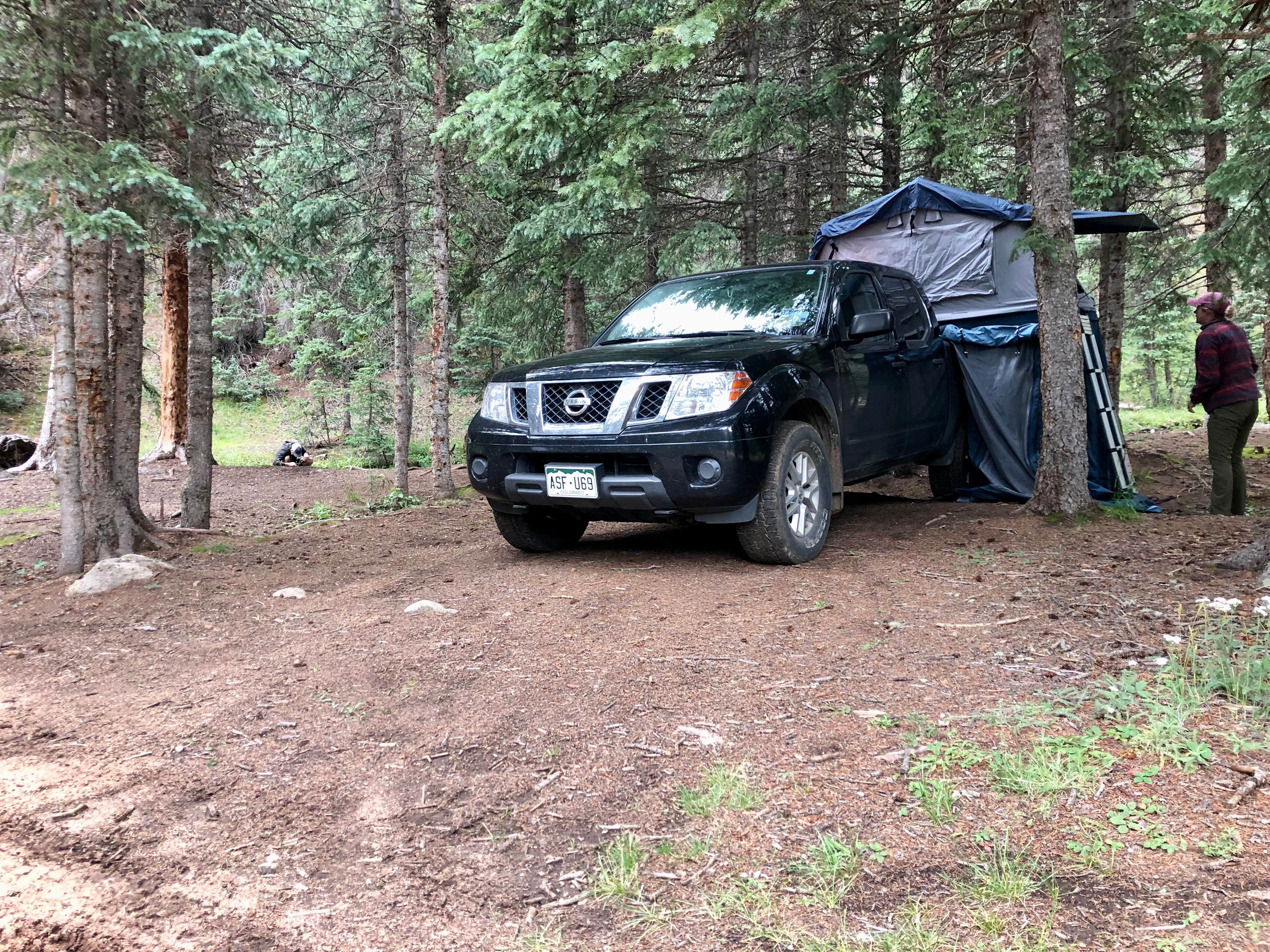 Camper submitted image from Gold Camp Road/Forest Service Road 376 Dispersed - 4