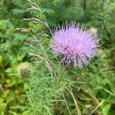 Review photo of William O'Brien State Park Campground by Brady J., August 23, 2022