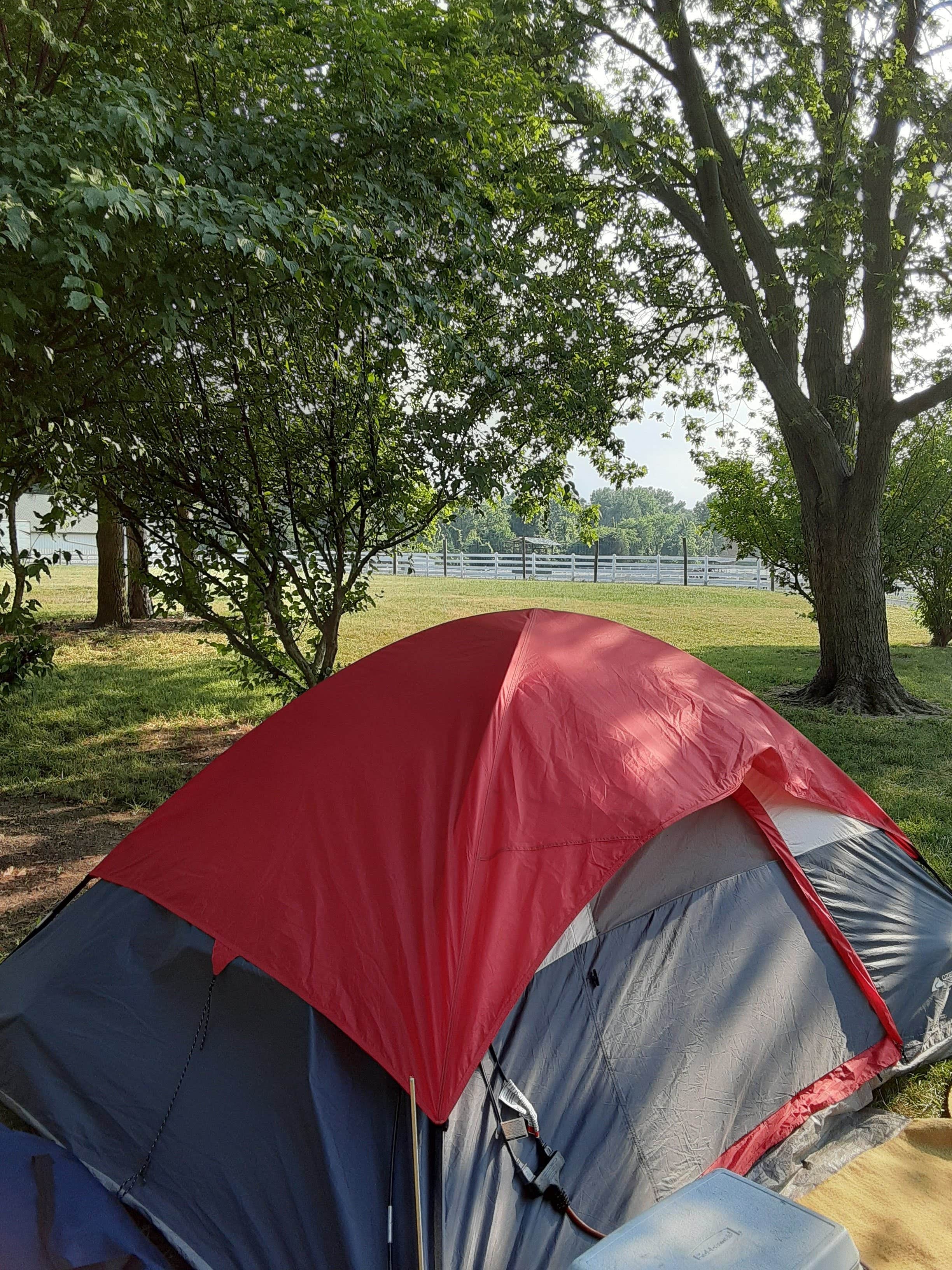 Toni Marie C.'s photo at Cedarlane RV Resort near Castalia, OH